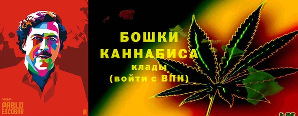 прущие грибы Каменск-Шахтинский