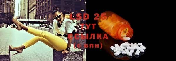 spice Каменка