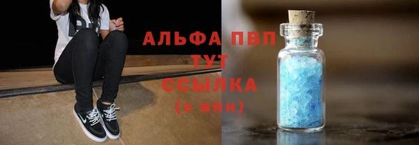 spice Каменка