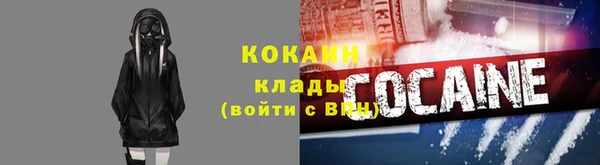 прущие грибы Каменск-Шахтинский
