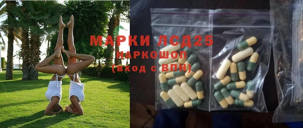 spice Каменка