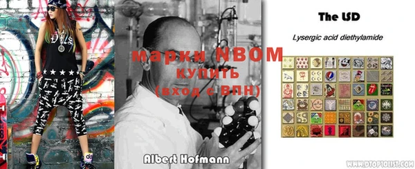 spice Каменка