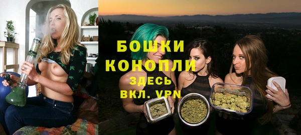 spice Каменка