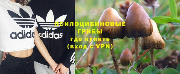 прущие грибы Каменск-Шахтинский
