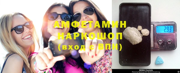 прущие грибы Каменск-Шахтинский