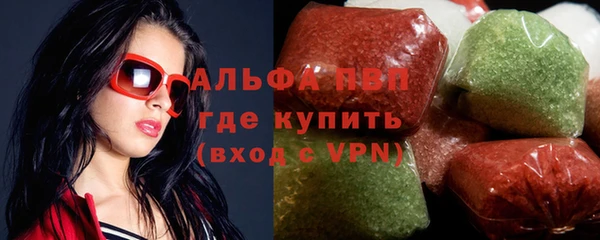 прущие грибы Каменск-Шахтинский