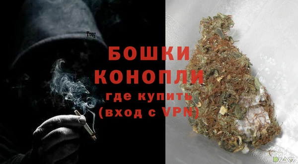 spice Каменка